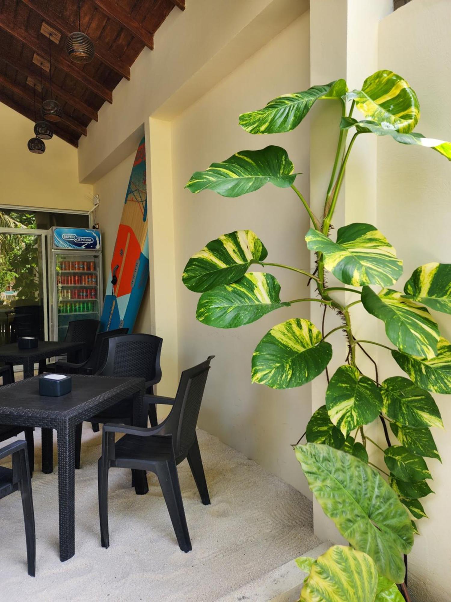 Dhigurah Dhonveli Boutique Hotel Eksteriør billede